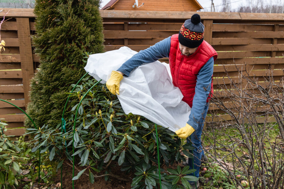 winter protection for garden winter shelter for g 2023 05 26 18 17 05 utc scaled e1700208147806