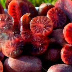 Mini kiwi Ken’s Red (Actinidia arguta) – sazenice P9, mrazuvzdorná, plodící
