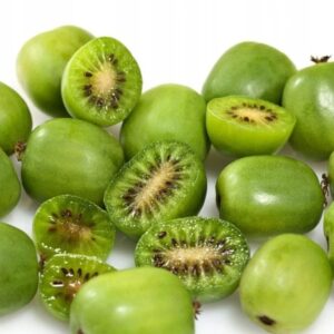 Mini kiwi Actinidia Issai – oboupohlavní, samosprašná, mrazuvzdorná – sazenice P9